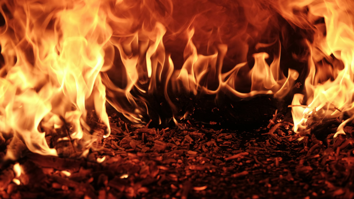 Flames on what appears to be a forest floor