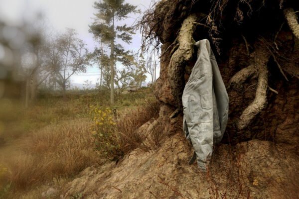 Story-Driven vs. Story-Creating Games: What STALKER Can Teach Us About Player Expectations