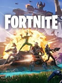 Fortnite box art