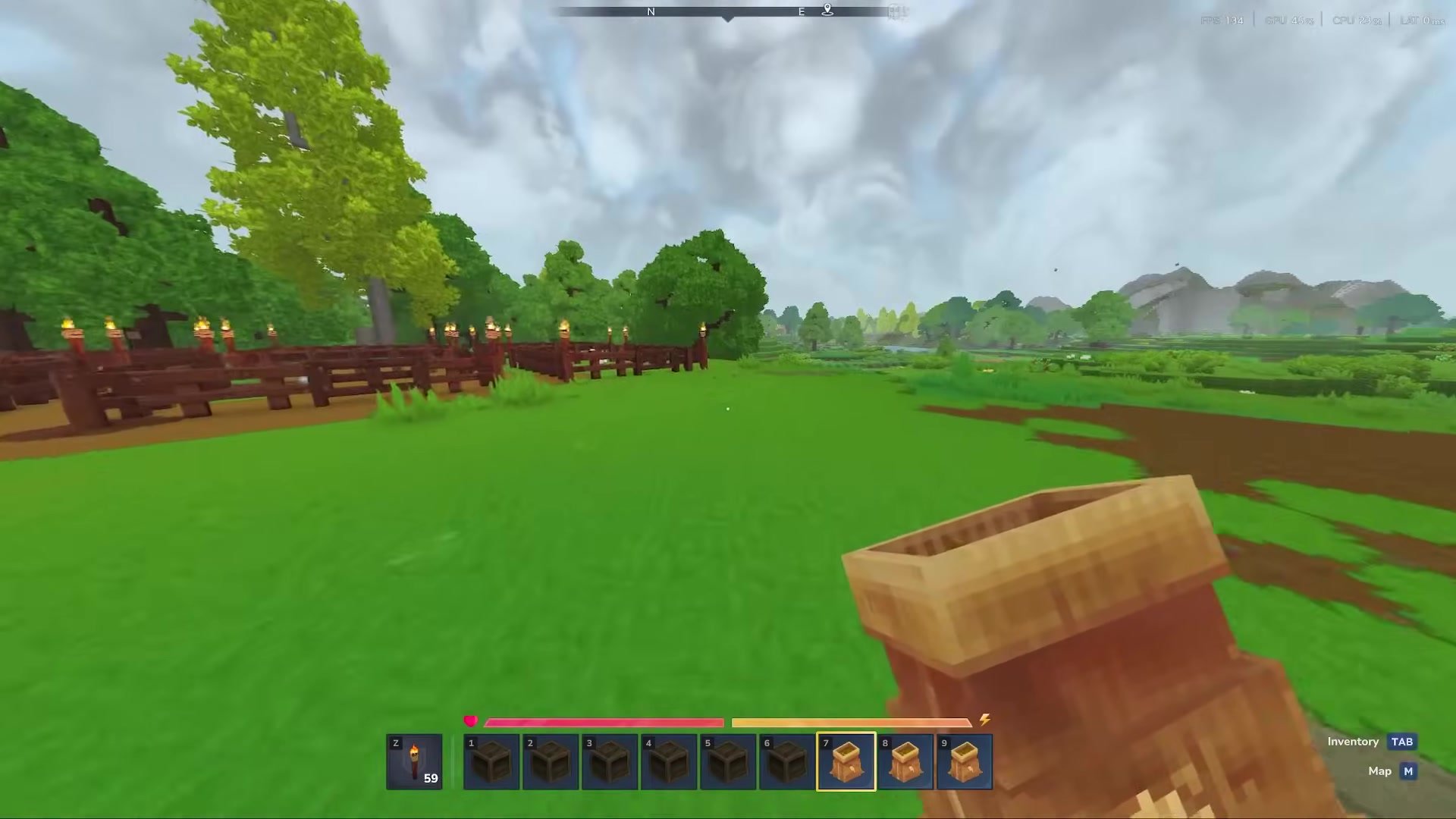 Hytale gameplay screenshot