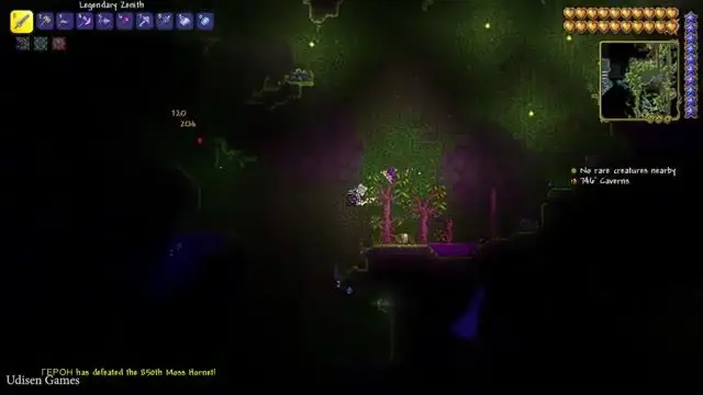 Terraria gameplay screenshot