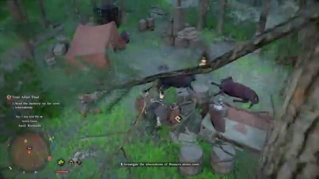 Crimson Desert gameplay screenshot