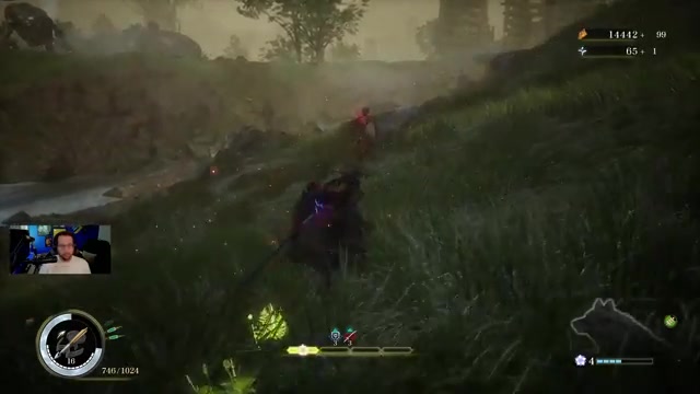 Beast of Reincarnation gameplay screenshot