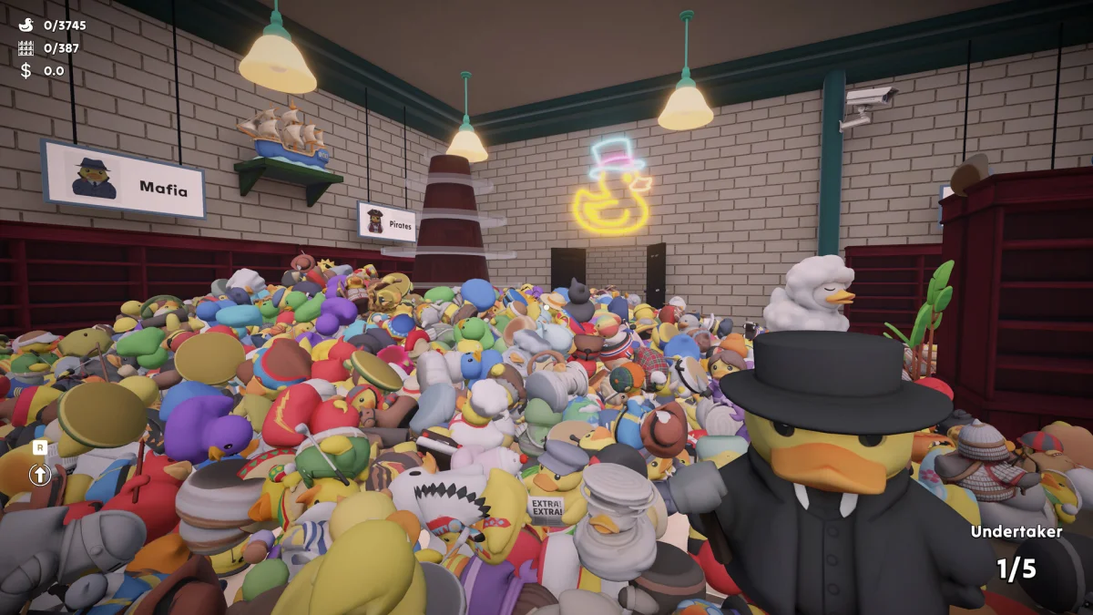 Sort Them Ducks – Screenshot 2